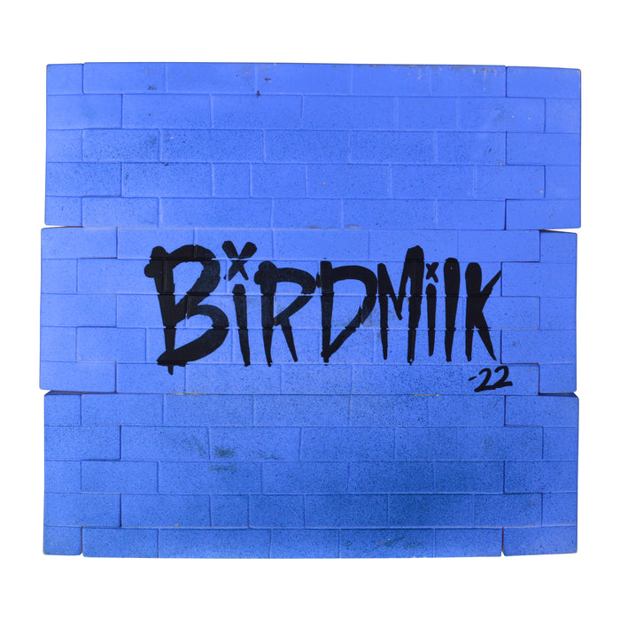 Look What The Wind Blew In - "Birdbrain Aneurism" by Birdmilk